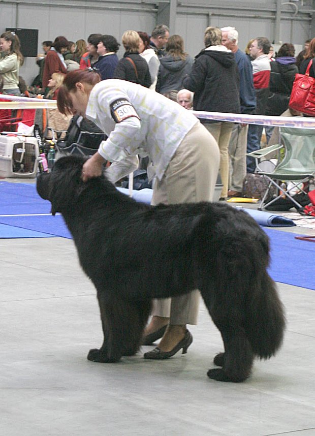 ferman jess blackdenis 